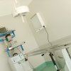 chirurgia-scialitica-ambulatorio-veterinario-villa-mafalda-bergamo-02